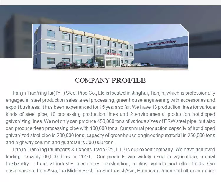 ASTM BS Pre Galvanized Pipe price Hot Dip Galvanized Steel Pipe